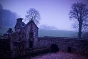 trees, Wall, Houses, Mist, Arch
