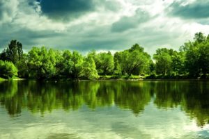 trees, Forest, Shore, Reflection, Sky, Clouds