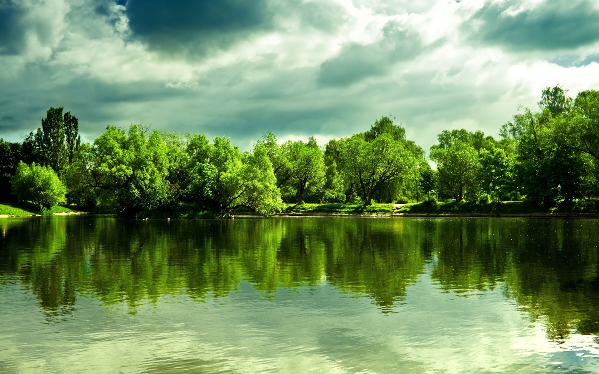 trees, Forest, Shore, Reflection, Sky, Clouds Wallpaper
