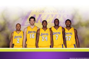 los, Angeles, Lakers, Nba, Basketball,  43