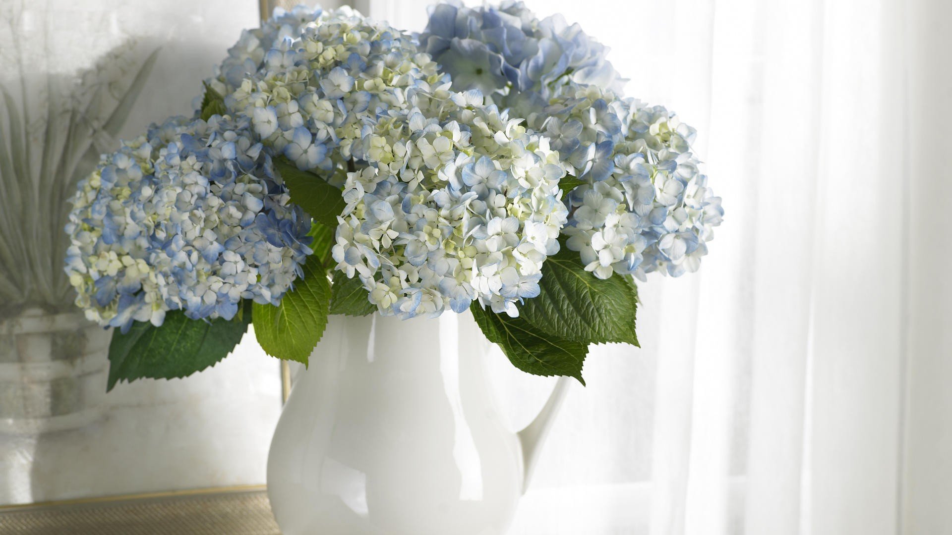 flowers, Vases, Hydrangea Wallpaper