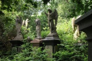 dark, Gothic, Angels, Trees, Forest, Leaves, Statue, Monument, Grave, Cemetery