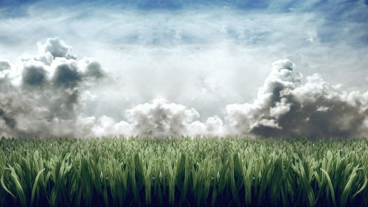 clouds, Landscapes, Nature, Grass HD Wallpaper Desktop Background