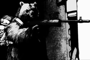 guns, Bears