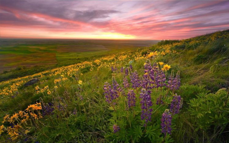 sunrise, Landscapes, Nature HD Wallpaper Desktop Background