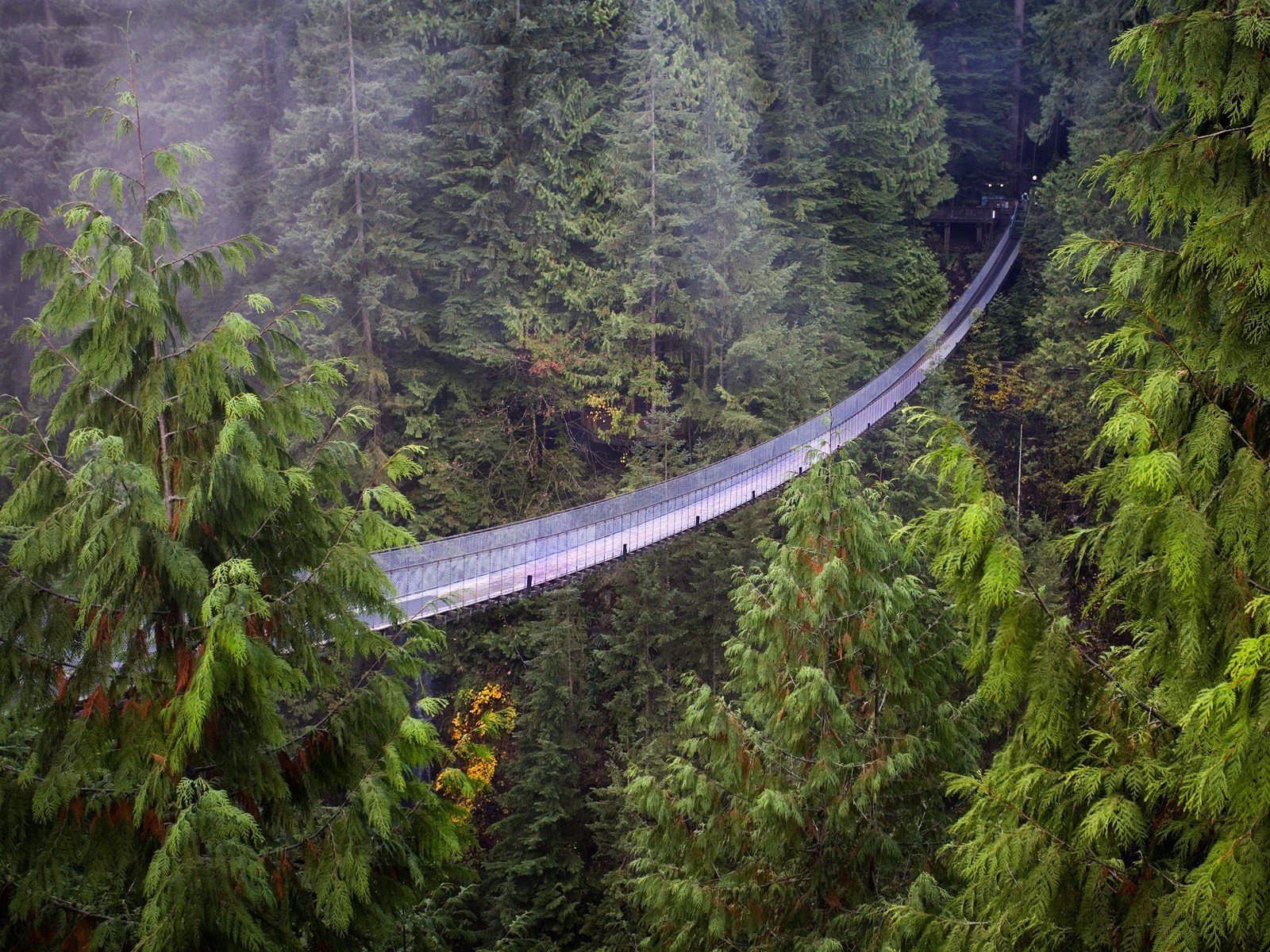vancouver, British, Columbia, Suspension, Bridge, Capilano, Suspension, Bridge Wallpaper