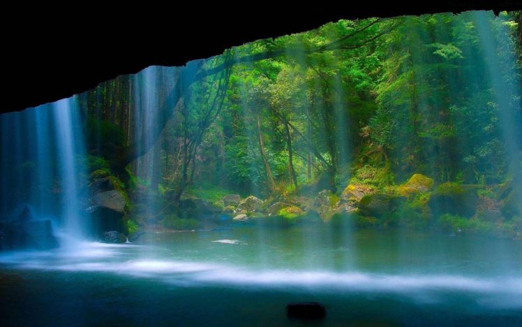 water, Nature, Forests, Waterfalls HD Wallpaper Desktop Background