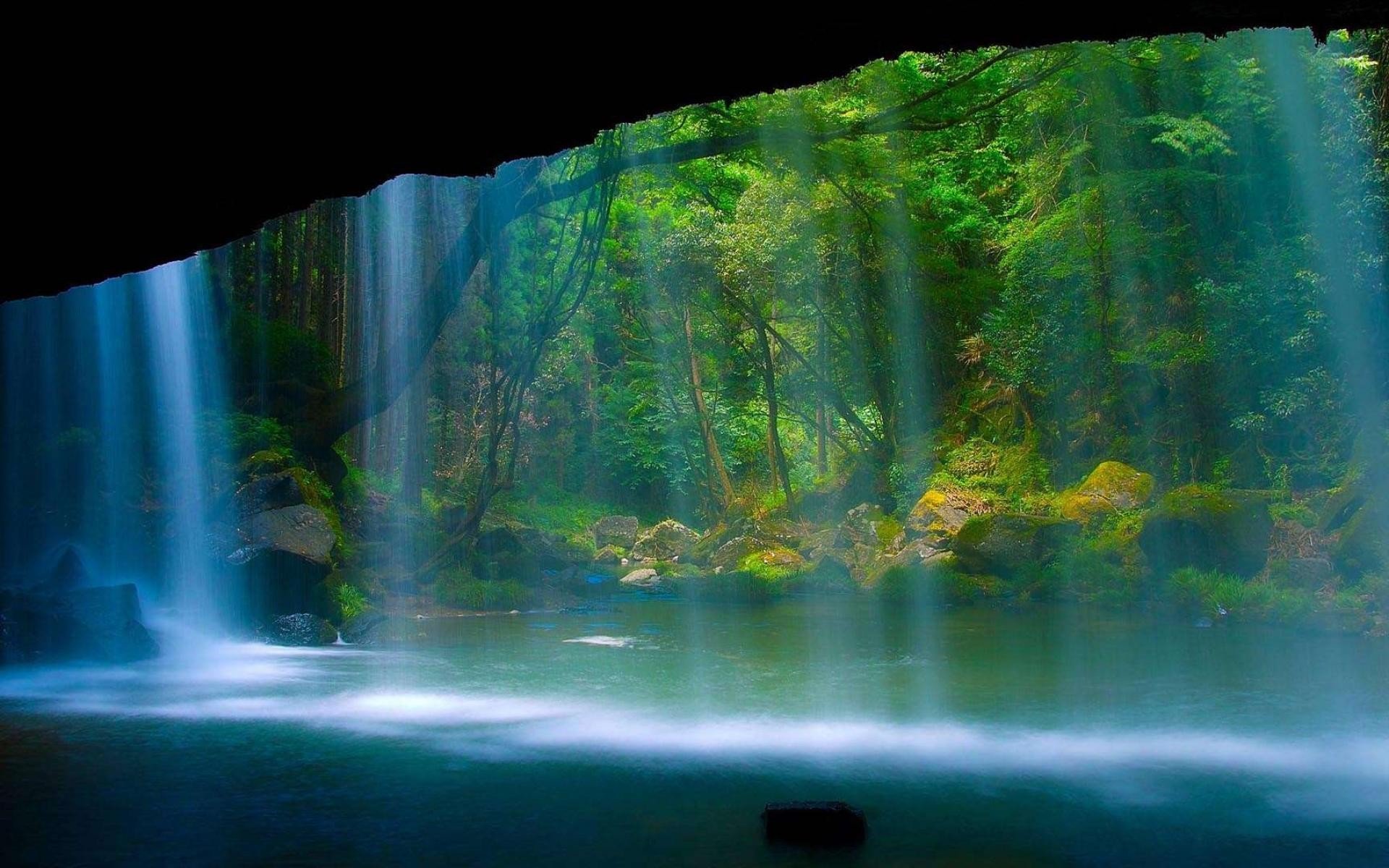 water, Nature, Forests, Waterfalls Wallpaper