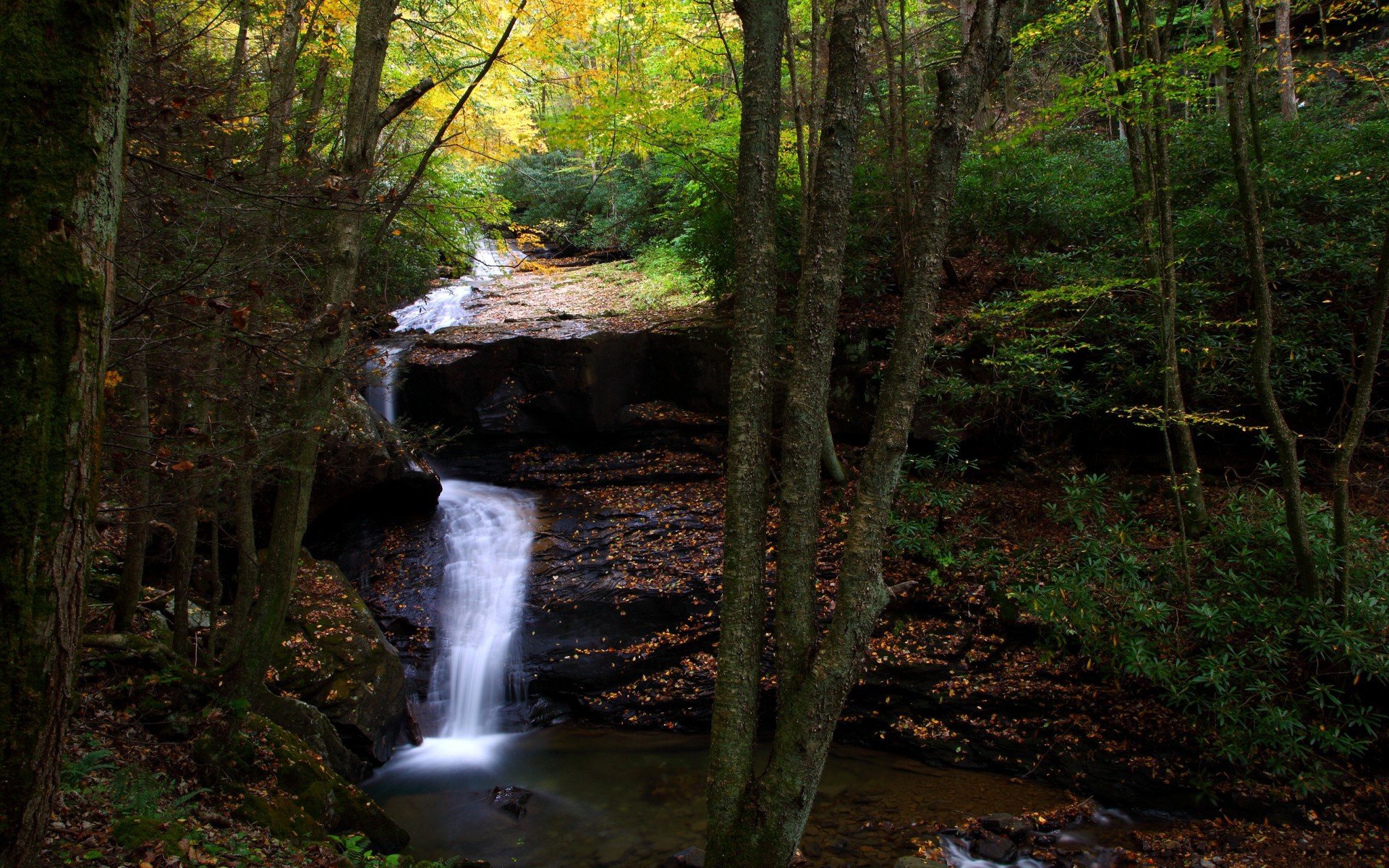 landscapes, Nature, Trees, Rivers Wallpaper