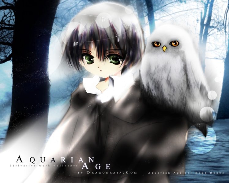 owls, Aquarian, Age HD Wallpaper Desktop Background