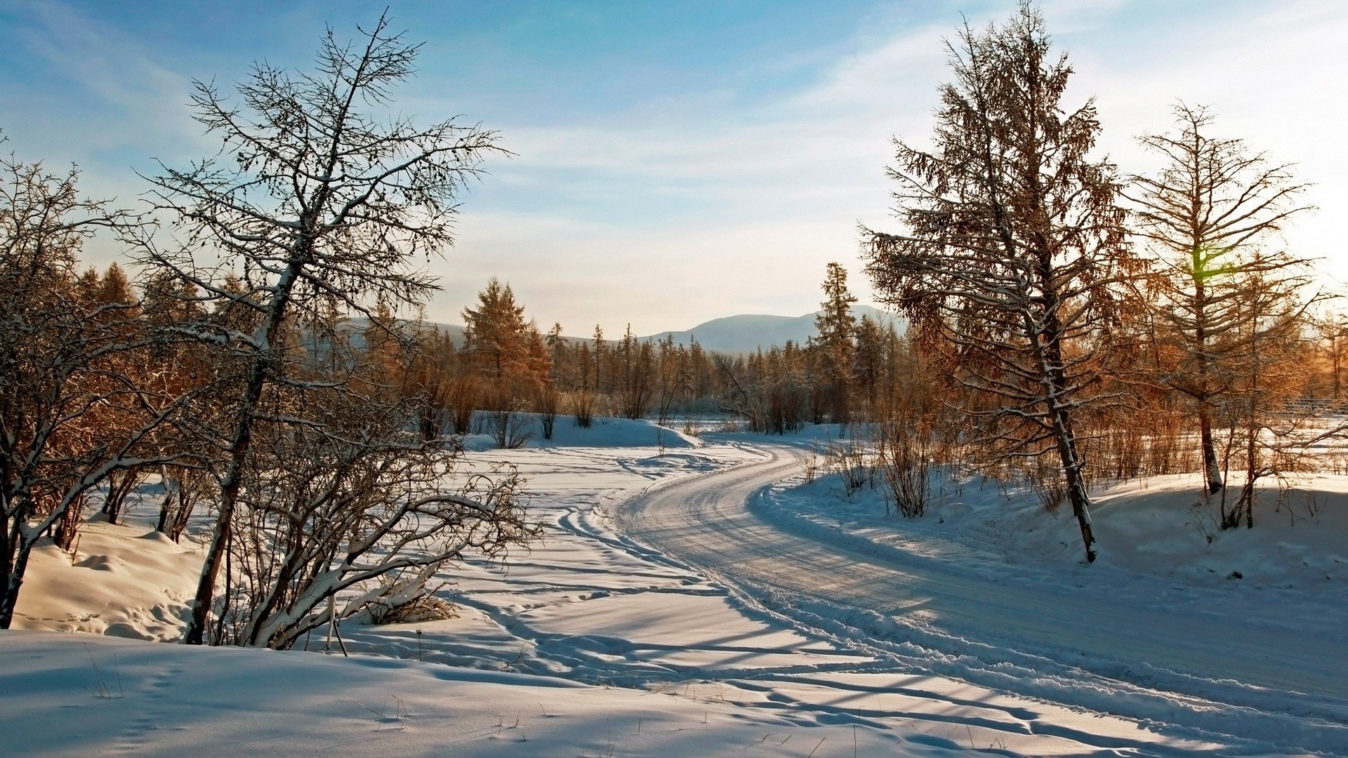 winter Wallpaper