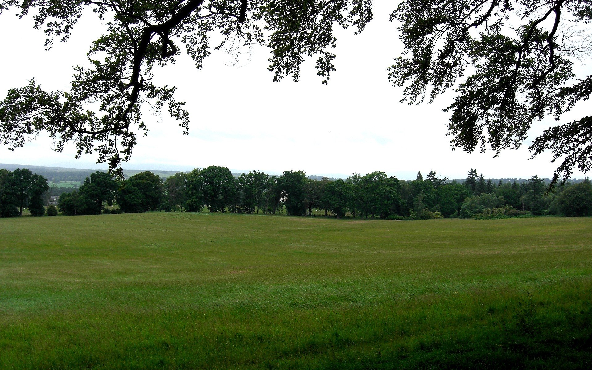 landscapes, Nature, Trees, Fields, Scotland Wallpaper