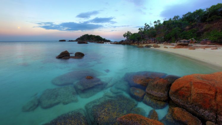 nature, Lizards, Australia, Beaches HD Wallpaper Desktop Background