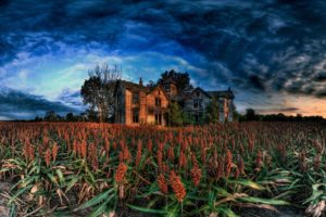 landscapes, Fields, Corn, Hdr, Photography, Cornfield, Old, House