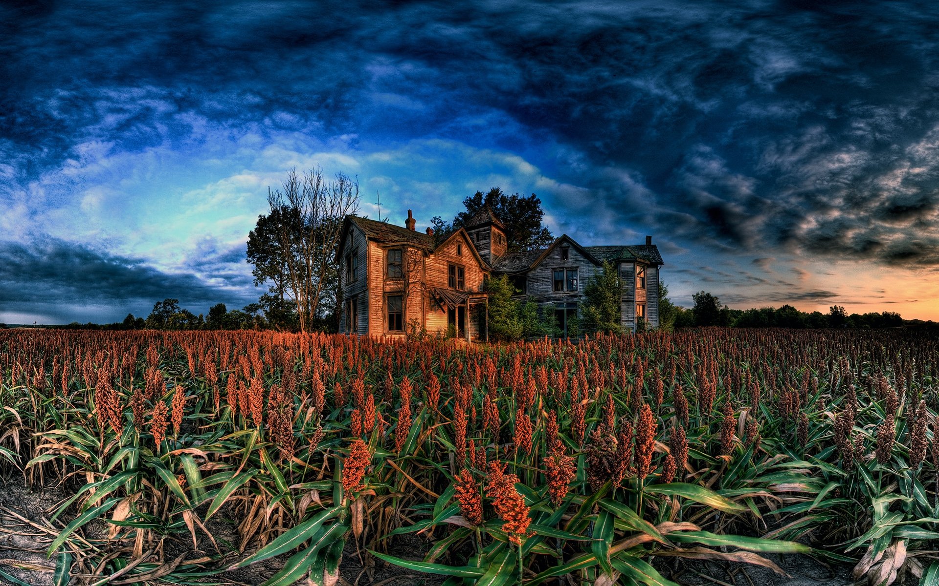 landscapes, Fields, Corn, Hdr, Photography, Cornfield, Old, House Wallpaper