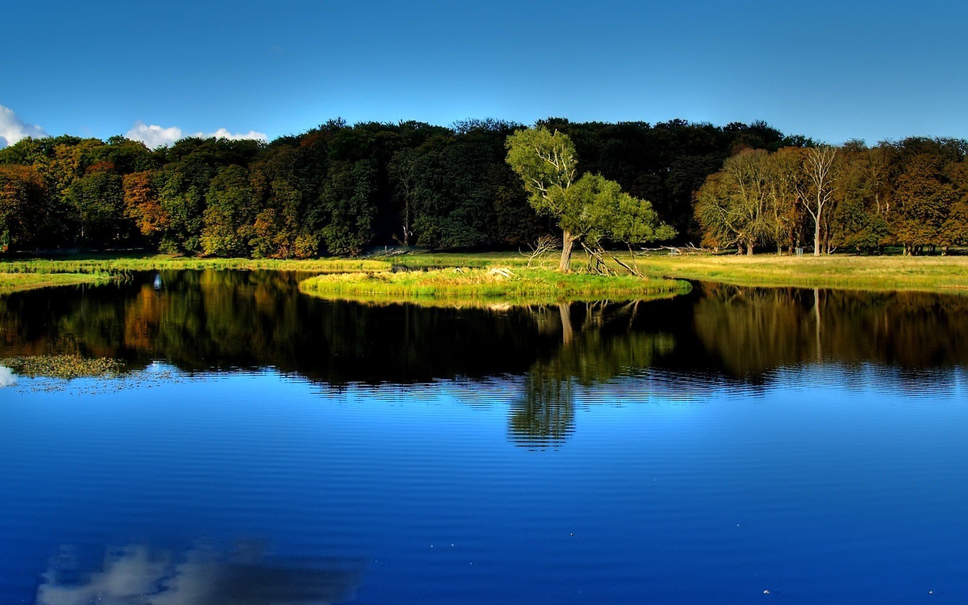 landscapes, Trees, Lakes, Albania Wallpaper