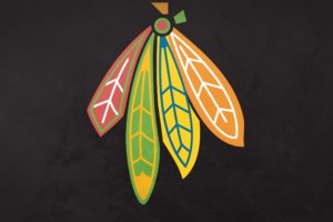 chicago, Blackhawks, Nhl, Hockey,  95