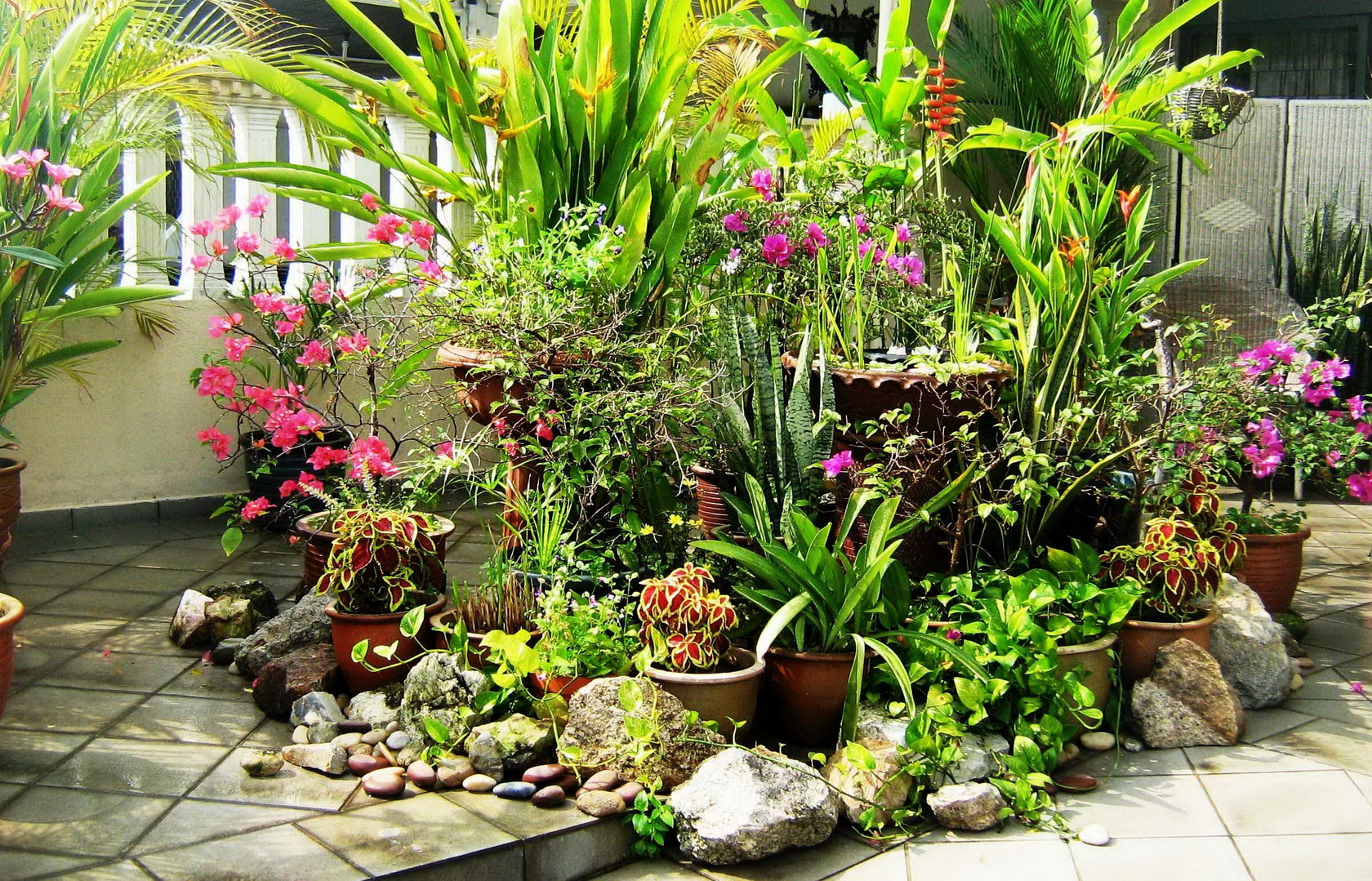 garden, Pots, Leaves, Plants, Architecture, Sunlight Wallpaper