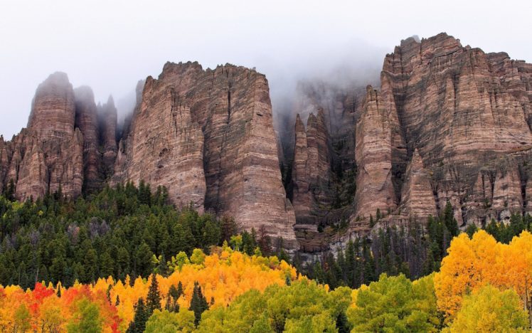 landscapes, Trees, Forest, Fog, Mist, Clouds, Autumn, Fall HD Wallpaper Desktop Background