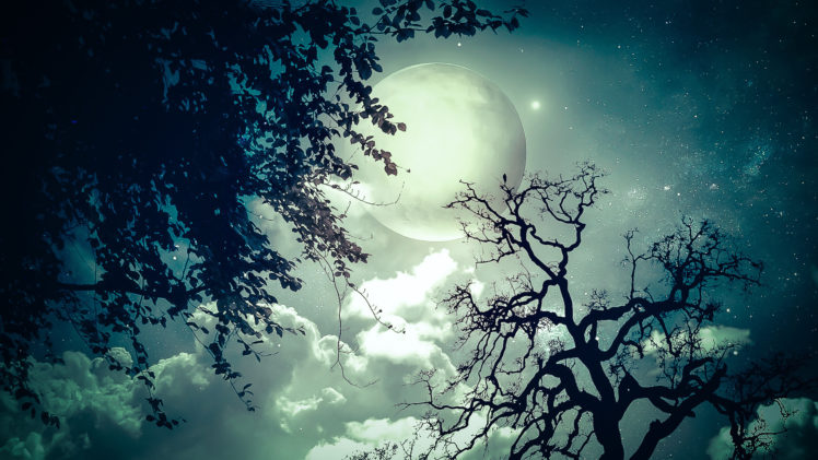moon, Trees, Clouds, Dream, Stars HD Wallpaper Desktop Background