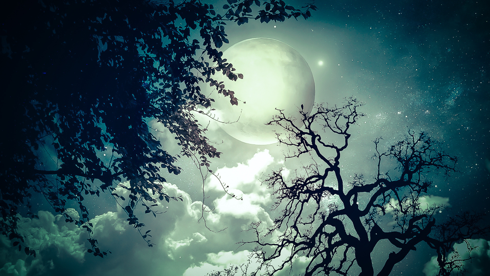 moon, Trees, Clouds, Dream, Stars Wallpaper