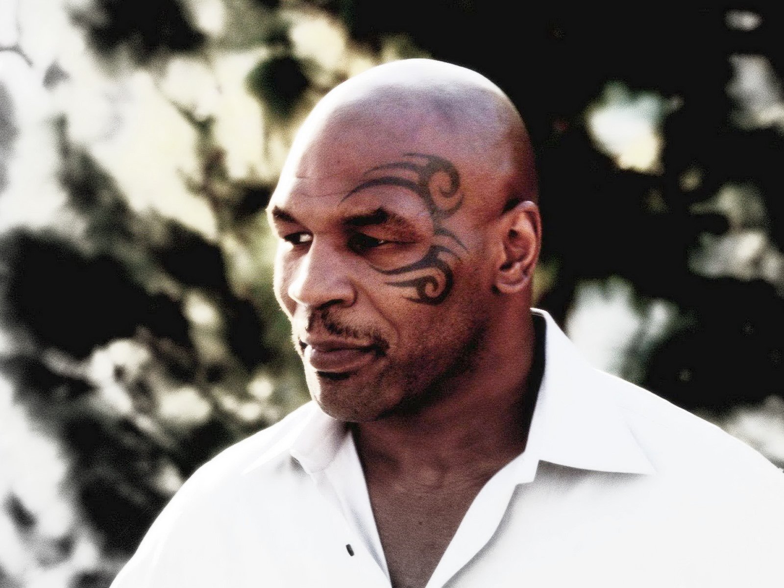 boxing, Fighter, Warrior, Fight, Battle,  35 Wallpaper