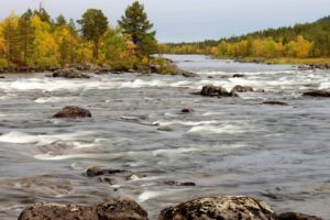 landscapes, Rapids, Stream, Trees, Forest, Woods, Autumn, Fall