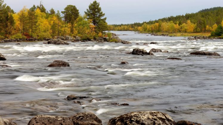 landscapes, Rapids, Stream, Trees, Forest, Woods, Autumn, Fall HD Wallpaper Desktop Background