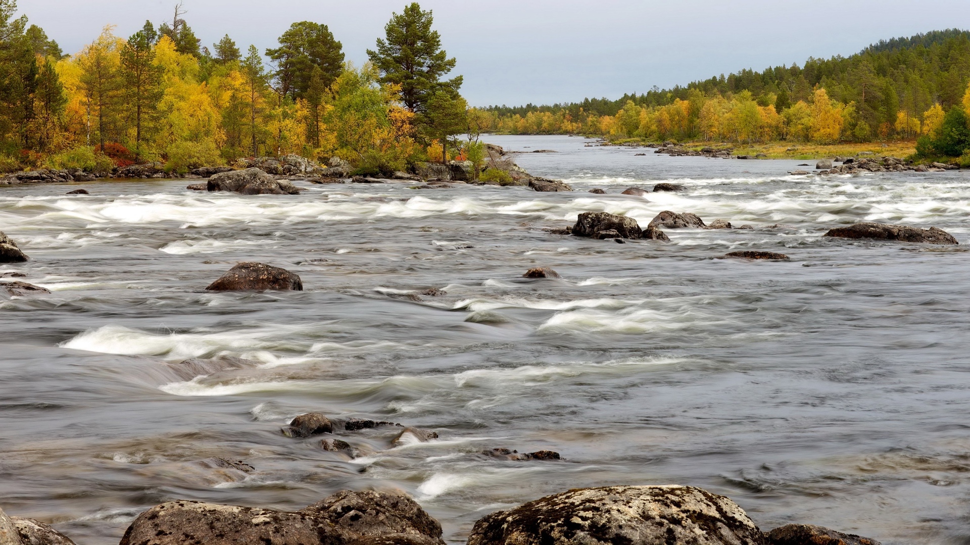 landscapes, Rapids, Stream, Trees, Forest, Woods, Autumn, Fall Wallpaper