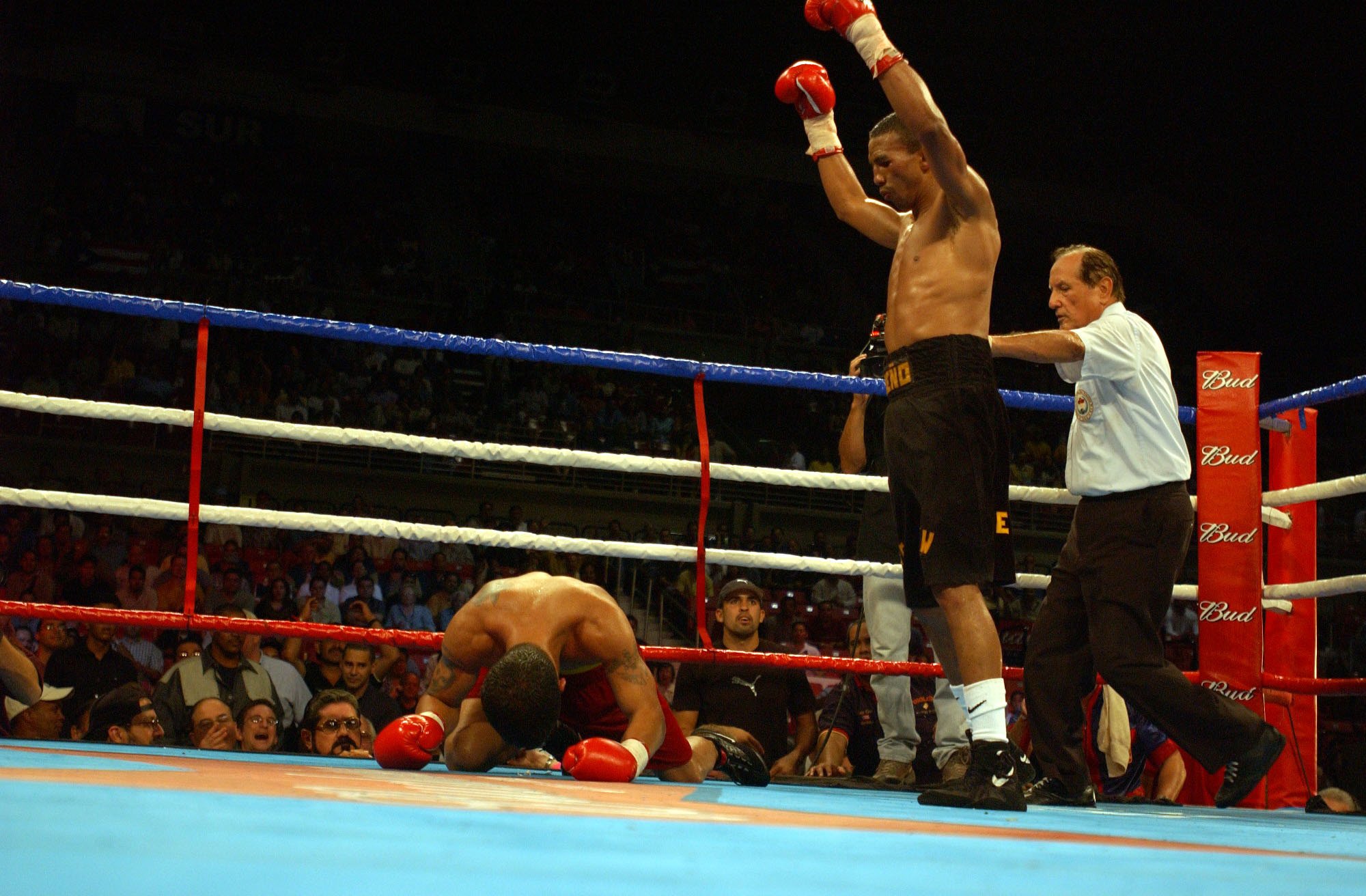 boxing, Fighter, Warrior, Fight, Battle,  313 Wallpaper