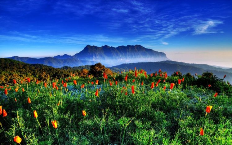 mountains, Flowers, Fields, Meadow, Fog, Haze, Mist, Hdr, Sky, Clouds HD Wallpaper Desktop Background