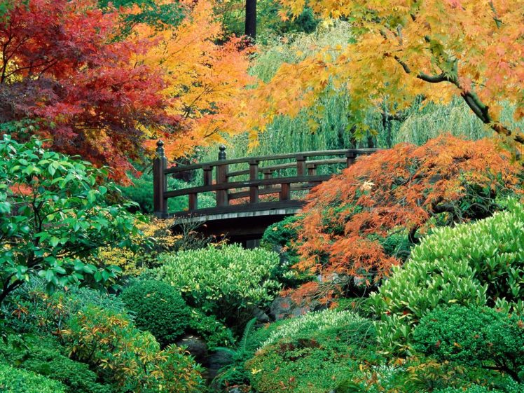 garden, Park, Landscape,  13 HD Wallpaper Desktop Background
