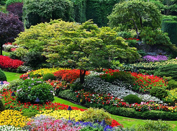 garden, Park, Landscape,  14 HD Wallpaper Desktop Background