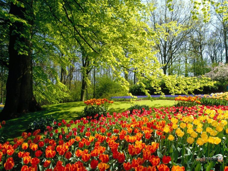 garden, Park, Landscape,  30 HD Wallpaper Desktop Background