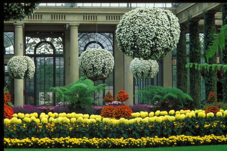 garden, Park, Landscape,  38 HD Wallpaper Desktop Background