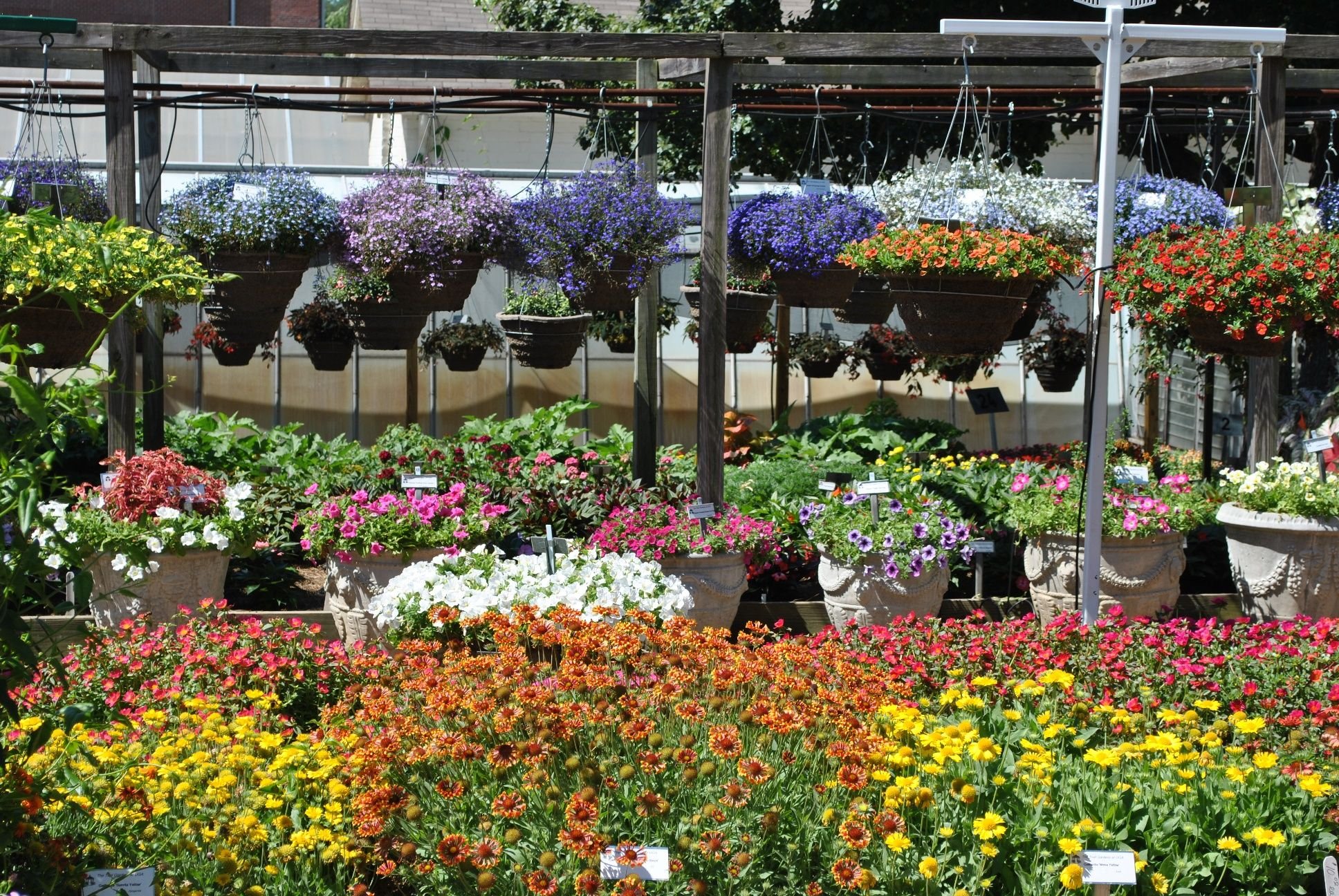 garden, Park, Landscape,  83 Wallpaper