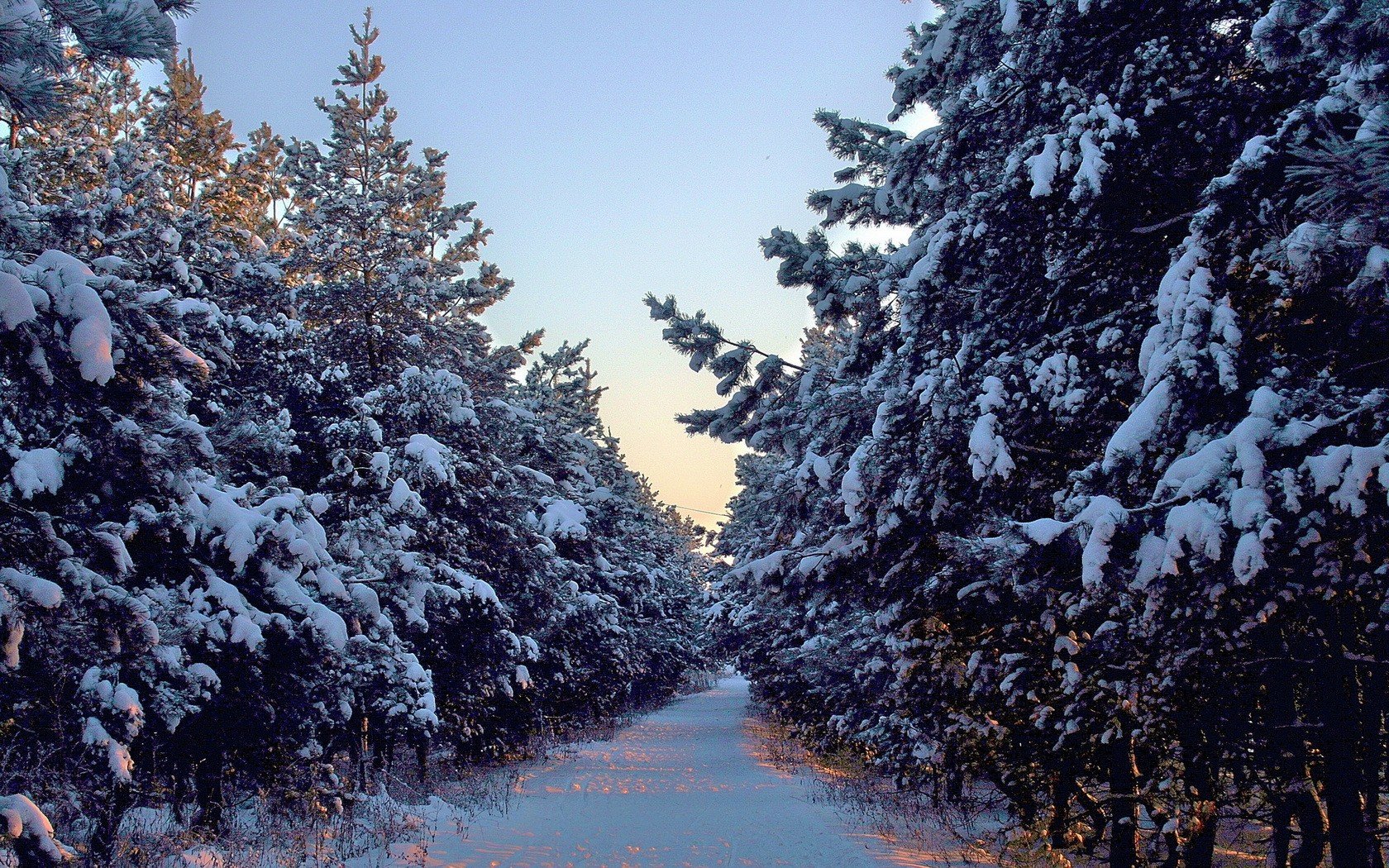 winter Wallpaper