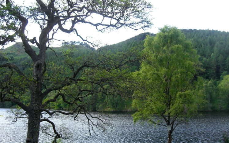 landscapes, Nature, Trees, Forests, Hills, Scotland, Lakes HD Wallpaper Desktop Background