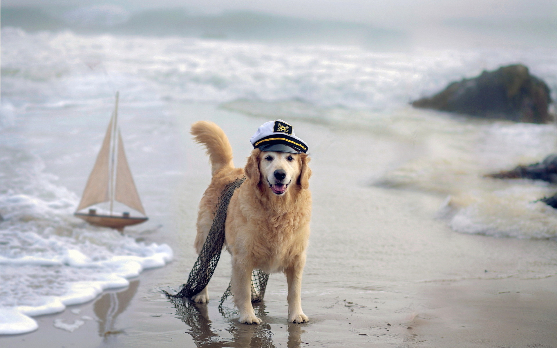 humor, Cute, Costume, Sailboats, Boats, Beaches, Nature, Waves Wallpaper