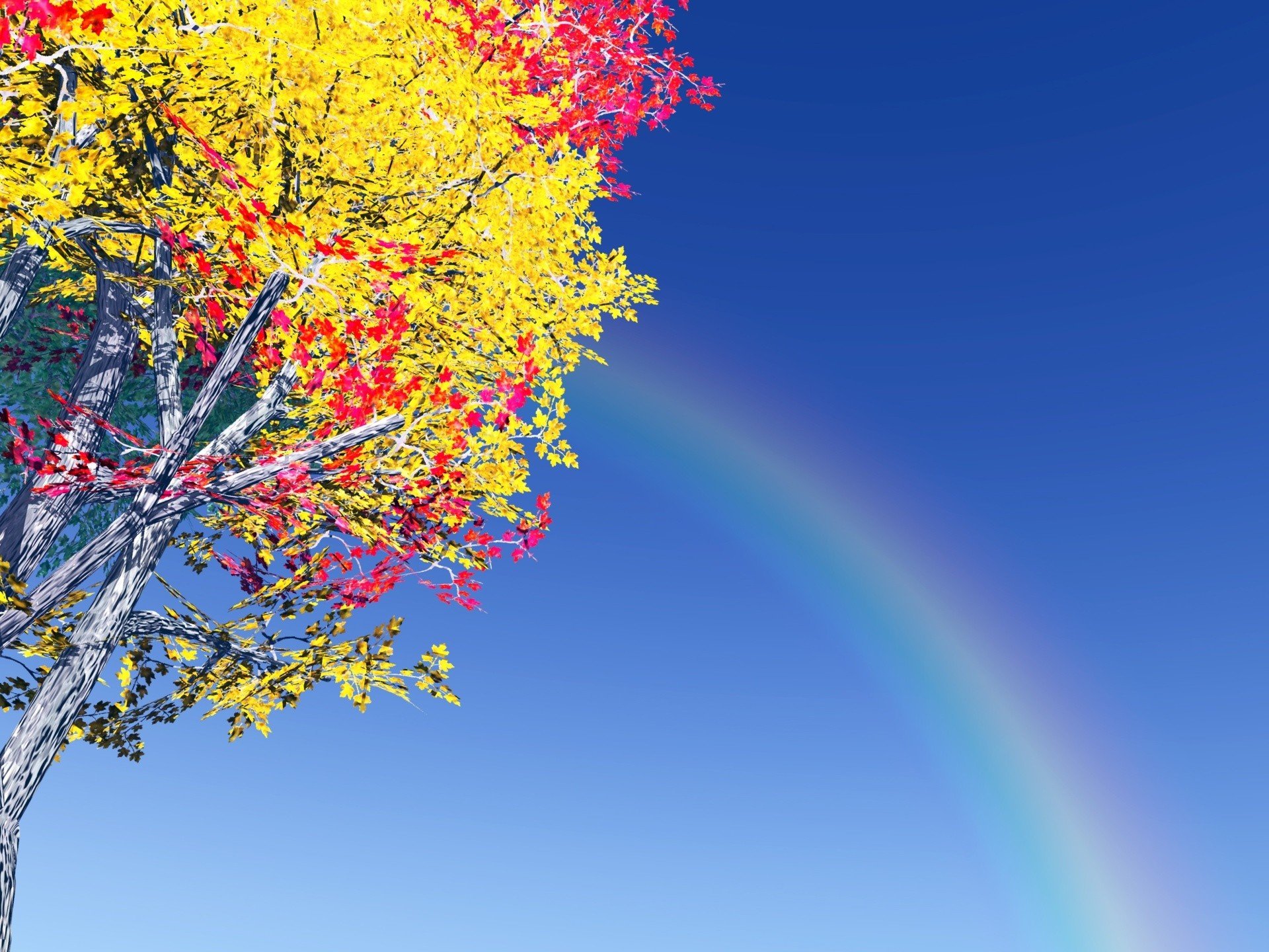 rainbows Wallpaper