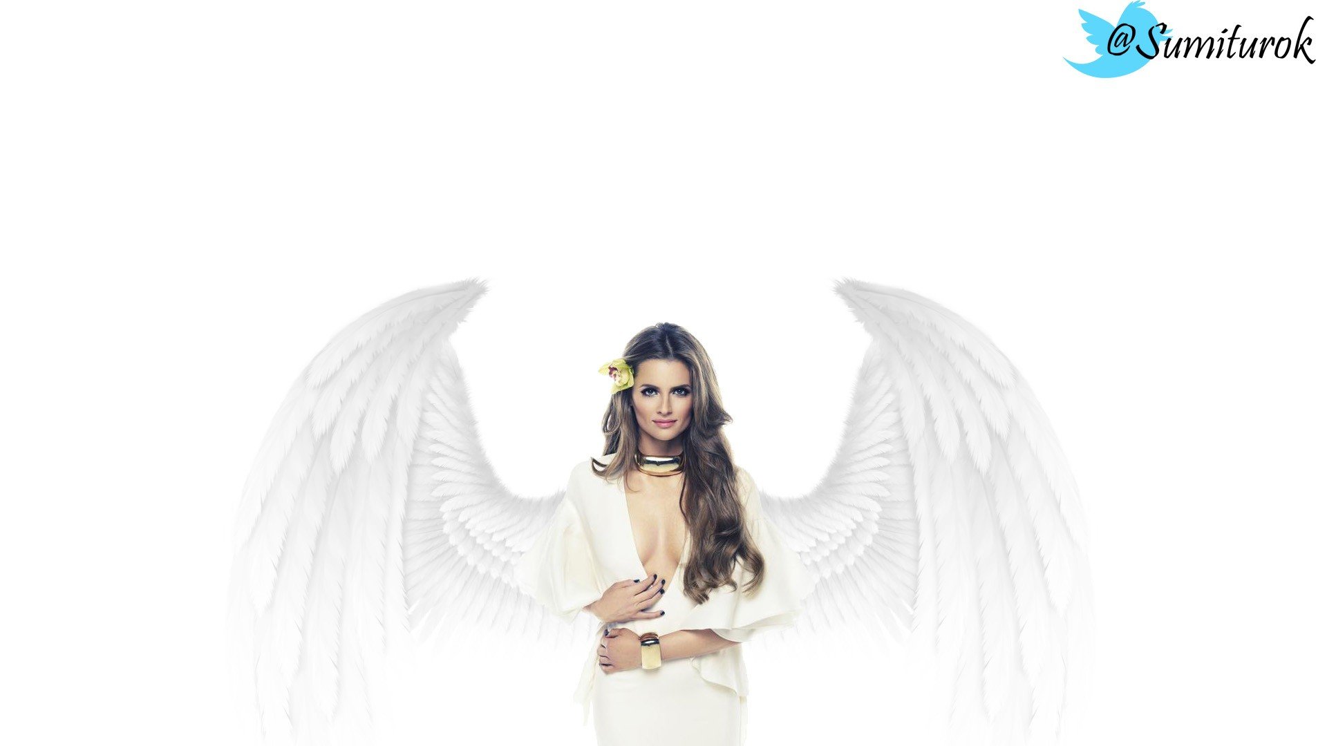 angels, Wings, Stana, Katic Wallpaper