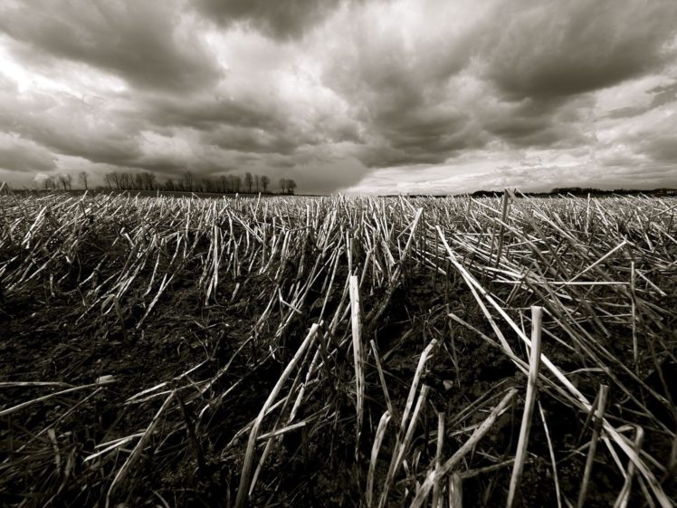 fields, Soil, Farm, Skies HD Wallpaper Desktop Background