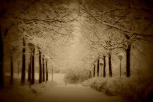 landscapes, Sepia, Winter, Snow, Lamp, Light