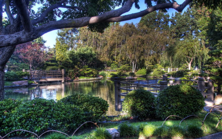 hdr, Landscapes, Japanese, Pond, Garden, Park, Flowers, Trees, Reflection HD Wallpaper Desktop Background