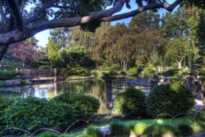 hdr, Landscapes, Japanese, Pond, Garden, Park, Flowers, Trees, Reflection
