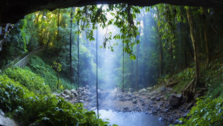 landscapes, Rain, Forest, Drog, Fog, Mist, Trees, Woods, Water, Pool, Sunlight, Filtered HD Wallpaper Desktop Background