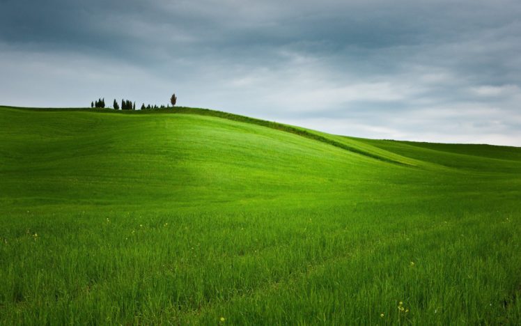 landscapes, Nature, Fields HD Wallpaper Desktop Background