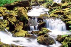 landscapes, Forests, Falls, National, Oregon, Proxy