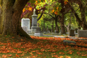 cemetery, Grave, Headstone, Gothic, Trees, Leaves, Autumn, Fall
