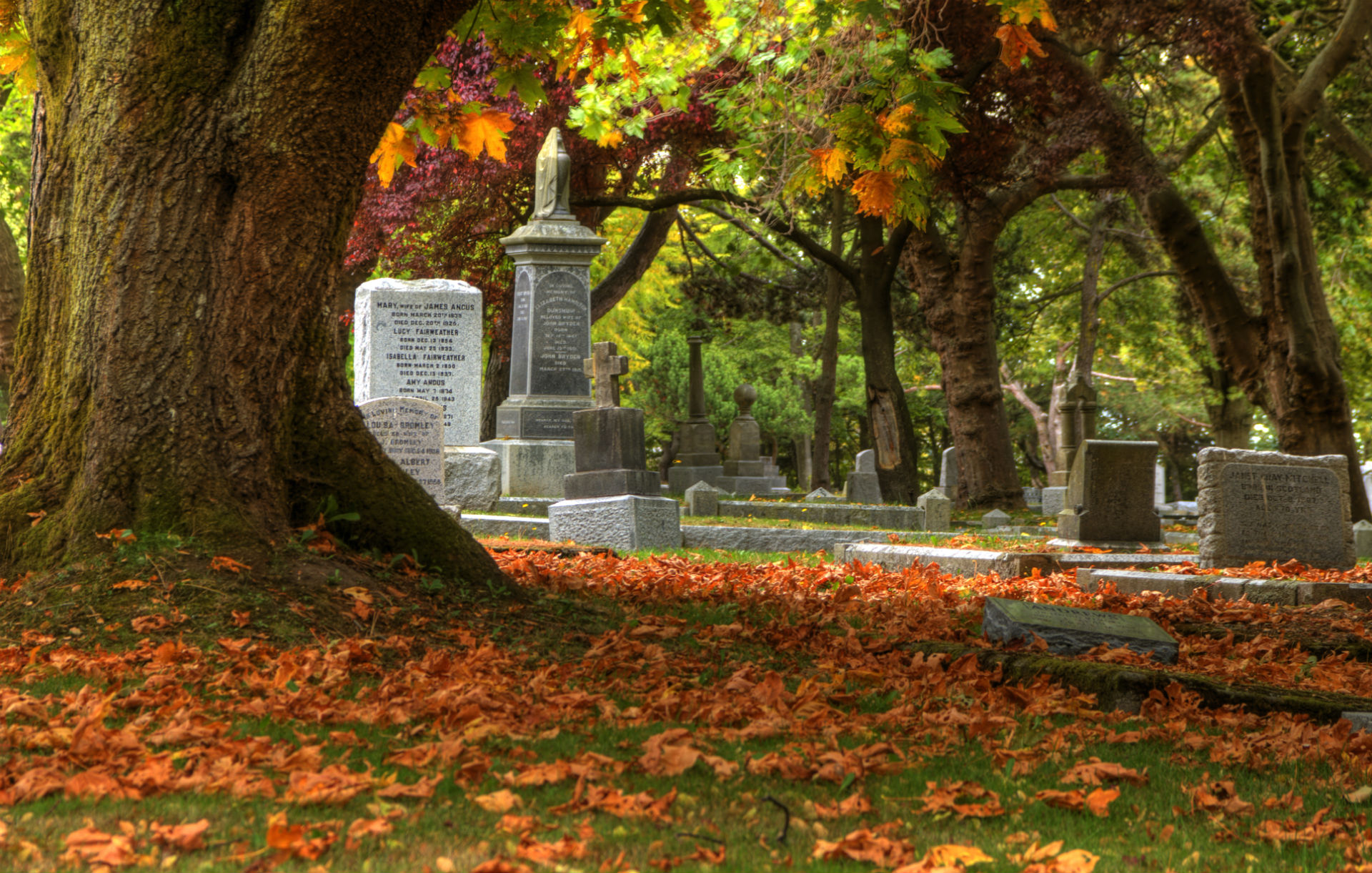 cemetery, Grave, Headstone, Gothic, Trees, Leaves, Autumn, Fall Wallpaper